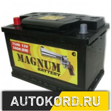 АКБ-6СТ-75 (600А) о/п Magnum Казахстан 278х175х190